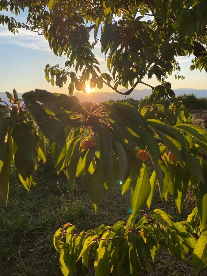 Nena Dashuri Agroturizem Peshkopi Екстериор снимка