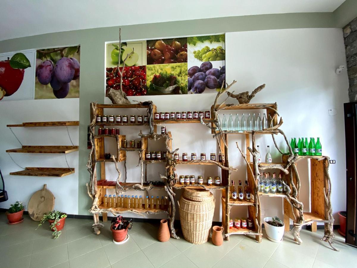Nena Dashuri Agroturizem Peshkopi Екстериор снимка